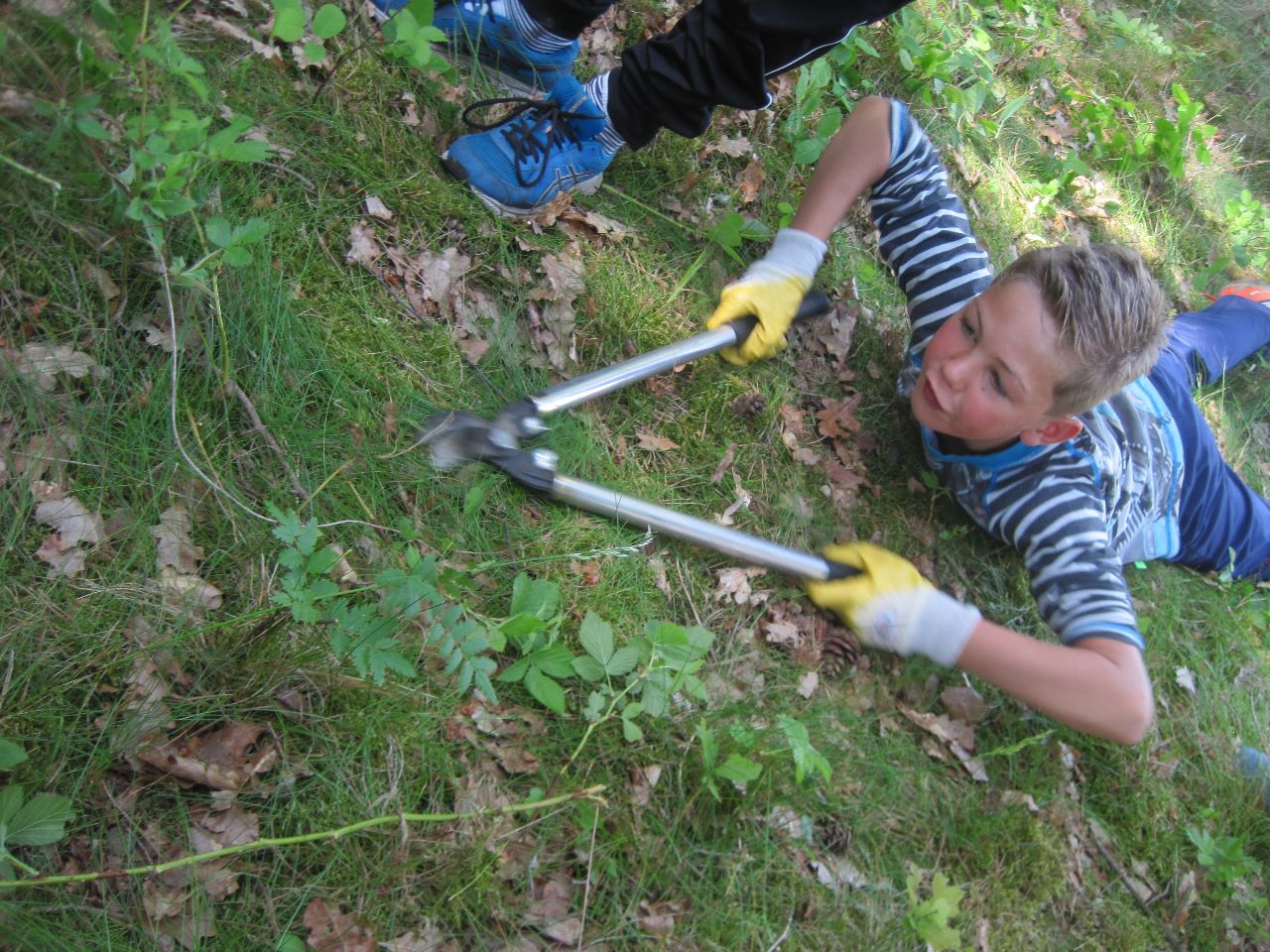 Werken in het Griesbroek samen met de mensen van Natuurpunt